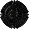 Ekena Millwork Southampton Ceiling Medallion (Fits Canopies up to 2 3/4"), 16 3/8"OD x 1 3/4"P, Black Pearl CM17SOBPS - alternate 1